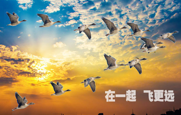 “在一起，飞更远” 团队的力量！